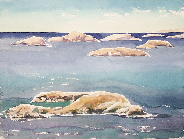 Sch&auml;ren Naturreservat Tjurpanna